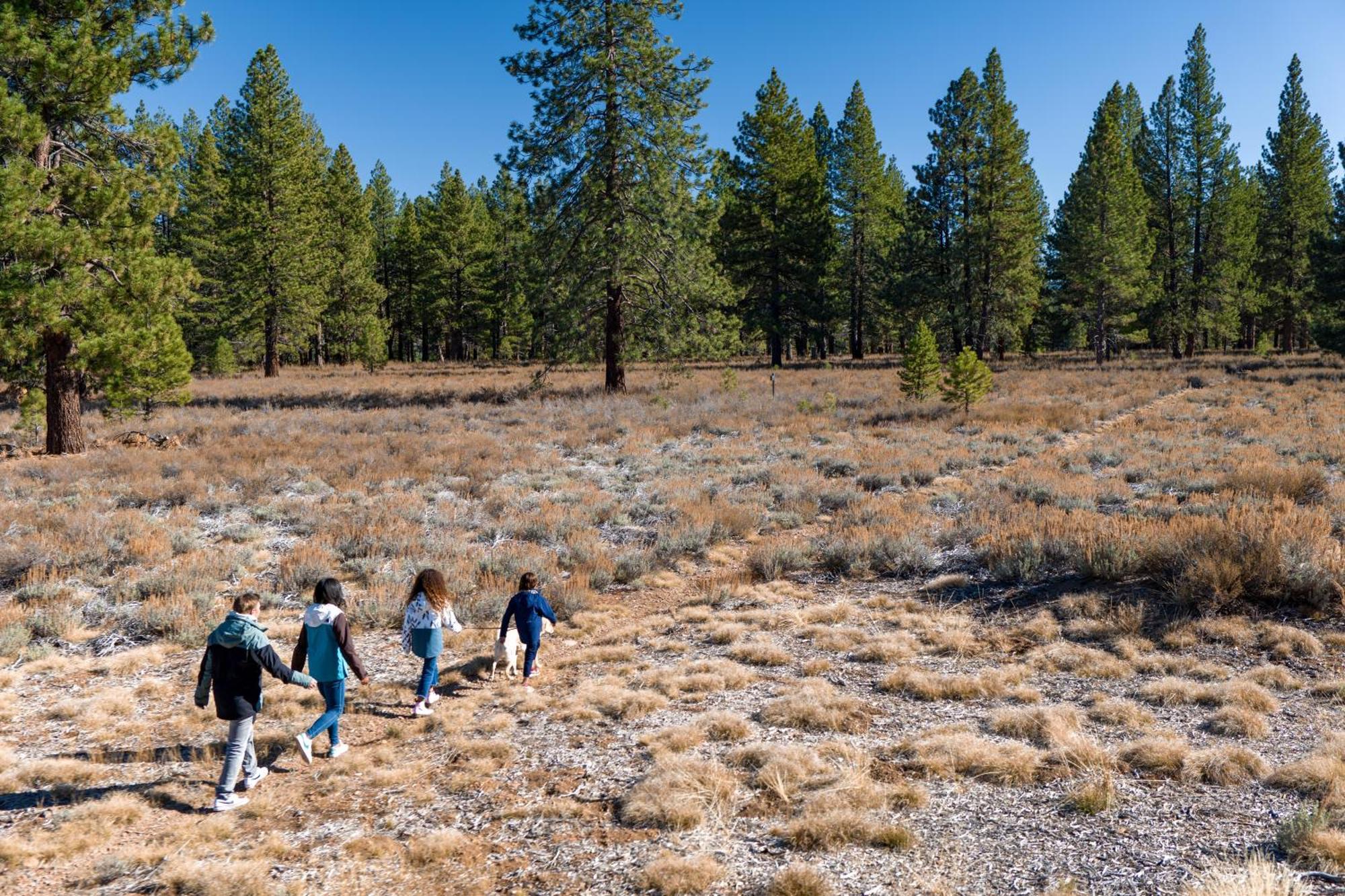 The Cottages - Ski Shuttle, Ski Valet, Mountaintop Dining - 3-Bedroom Truckee Exterior photo